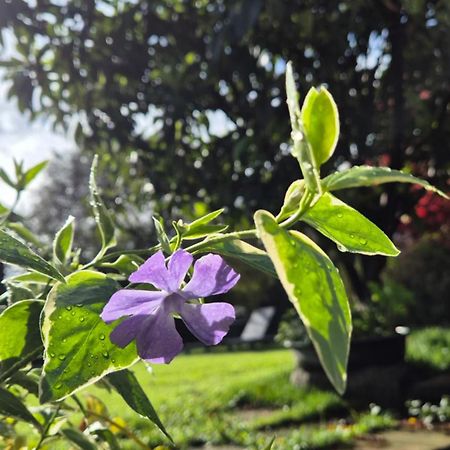 Cascina San Martino Bed & Breakfast Passirano ภายนอก รูปภาพ