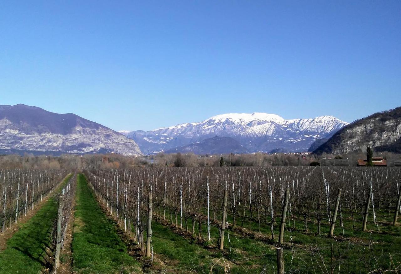 Cascina San Martino Bed & Breakfast Passirano ภายนอก รูปภาพ