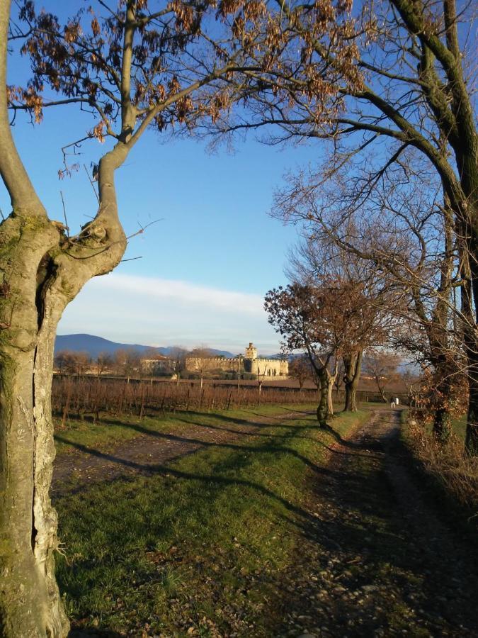 Cascina San Martino Bed & Breakfast Passirano ภายนอก รูปภาพ