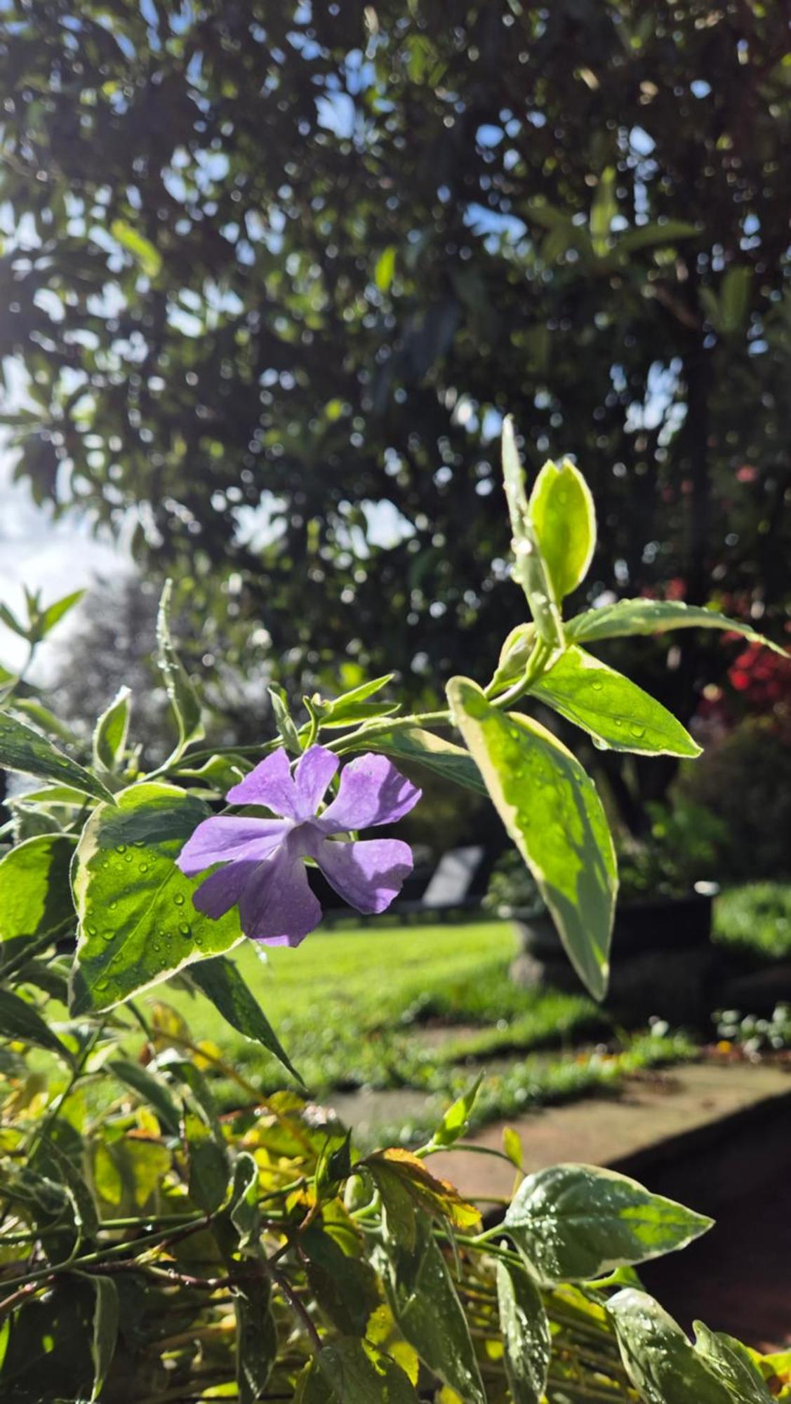 Cascina San Martino Bed & Breakfast Passirano ภายนอก รูปภาพ